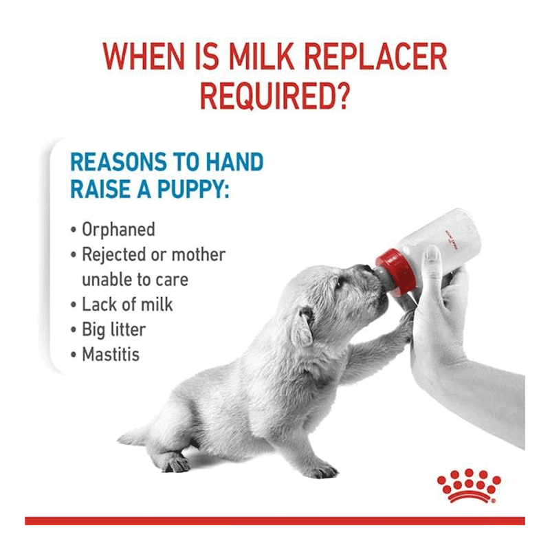 Royal Canin Babydog Milk 400g