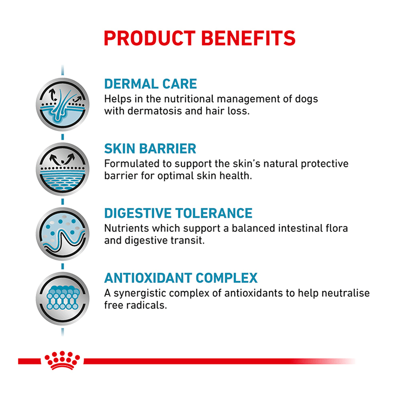 Royal Canin Skin Care Adult Dry Dog Food 2kg