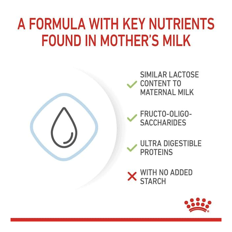 Royal Canin Babydog Milk 400g