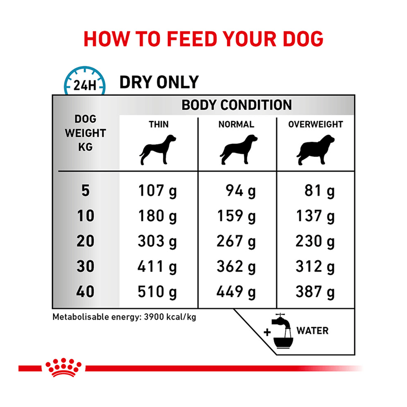 Royal Canin Skin Care Adult Dry Dog Food 2kg