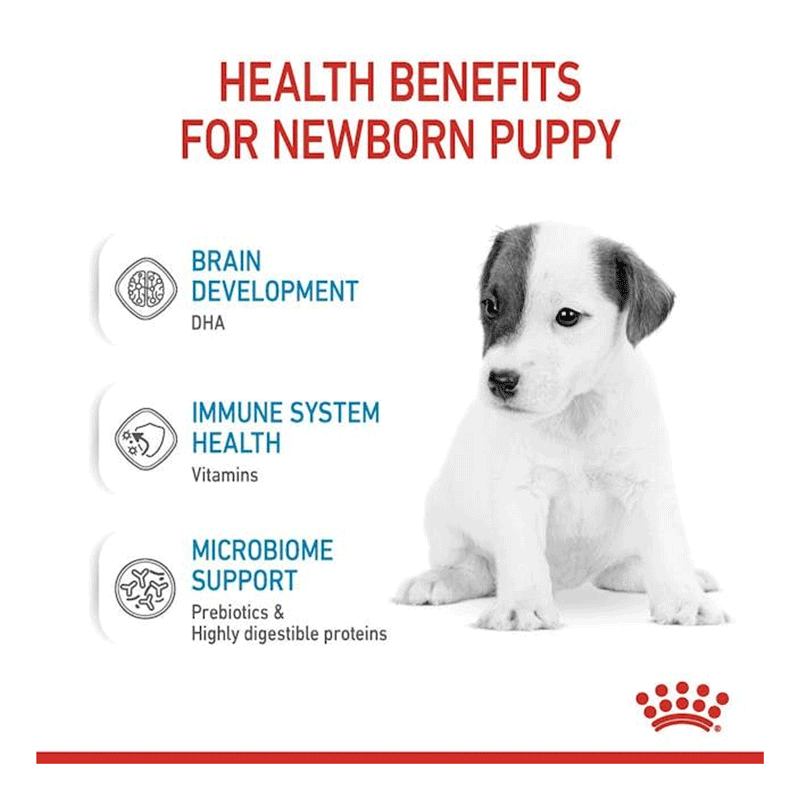 Royal Canin Babydog Milk 400g
