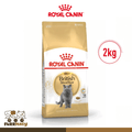 Royal Canin British Shorthair Adult Dry Cat Food 2kg