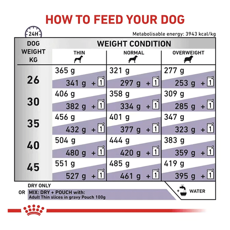 Royal Canin Expert Adult Large Dog Dry Food 4kg