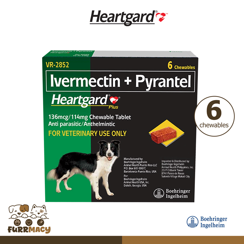 Heartgard Plus 26 to 50lbs (12 to 22kg) 6 Chewable Tablet