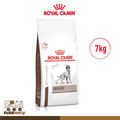 Royal Canin Veterinary Hepatic Dog Dry Food 7kg