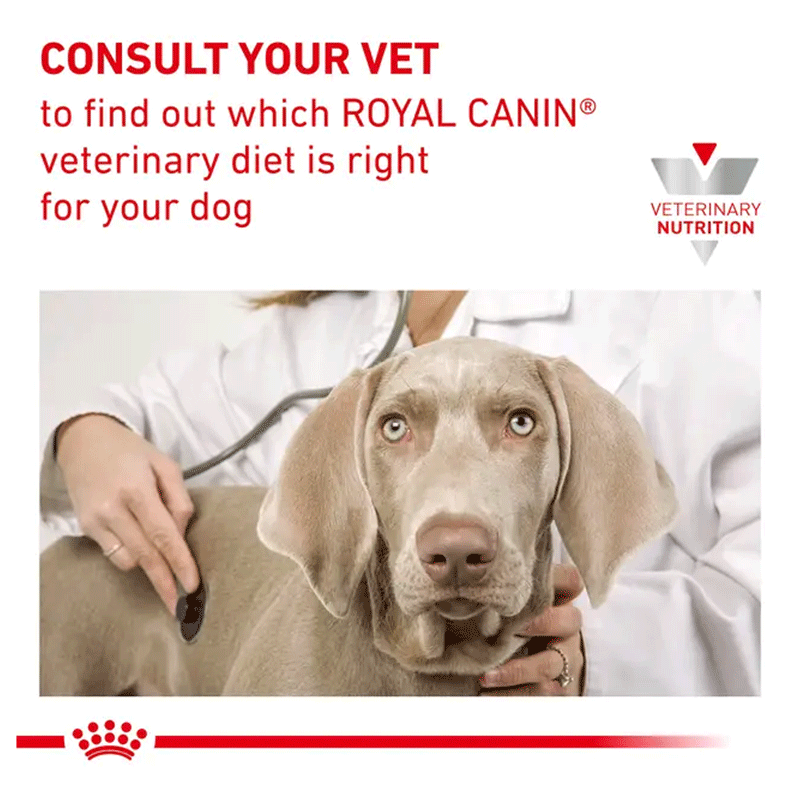 Royal Canin Hypoallergenic Small Dog Dry Food 1kg