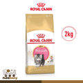 Royal Canin Feline Breed Nutrition Kitten Persian Dry Cat Food 2kg