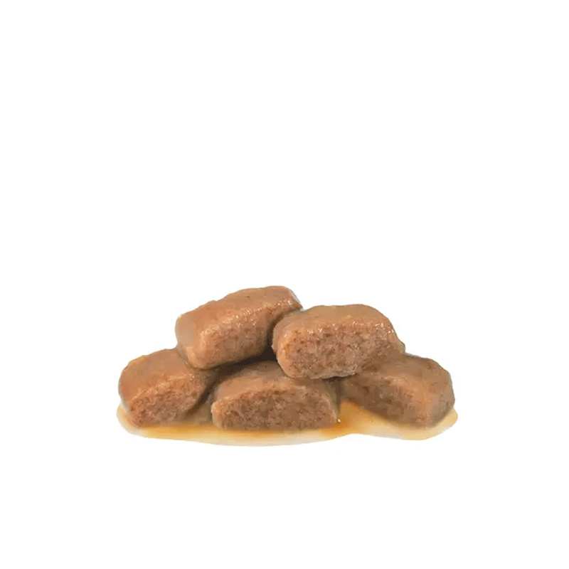 Royal Canin Skin & Coat Wet Cat Food (85g x 12 pouches)