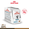 Royal Canin Skin & Coat Wet Cat Food (85g x 12 pouches)