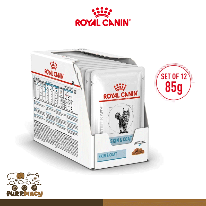 Royal Canin Skin & Coat Wet Cat Food (85g x 12 pouches)