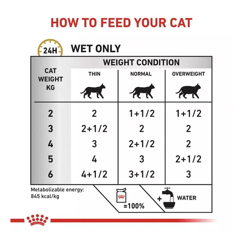 Royal Canin URINARY S/O Cat Feline Wet Food 85g x 12pcs