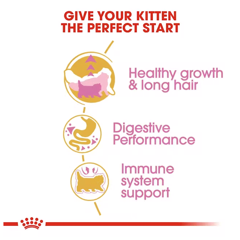 Royal Canin Feline Breed Nutrition Kitten Persian Dry Cat Food 2kg