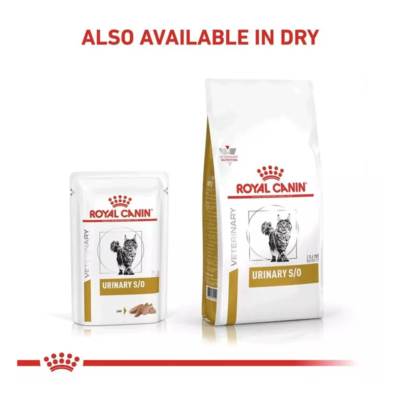 Royal Canin URINARY S/O Cat Feline Wet Food 85g x 12pcs