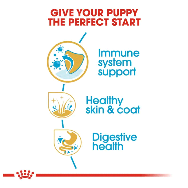 Royal Canin Shih Tzu Puppy Dry Dog Food 500g