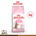 Royal Canin Kitten Sterilised 6 to 12 Months (2kg) Dry Cat Food - Feline Health Nutrition